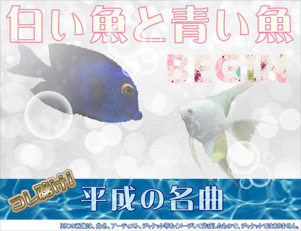 白い魚と青い魚 / BEGIN の感想は？ 【平成のラブソング】